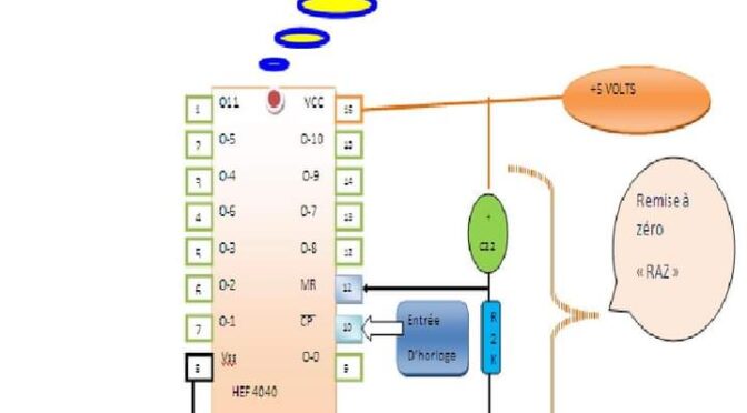 L&rsquo;Art de l&rsquo;Enseigne LED Personnalisée : Entre Artisanat de Précision et Ingénierie Électronique