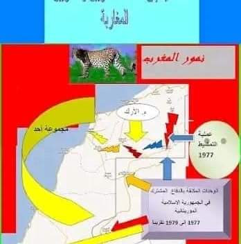 fb img 1728225127990 original