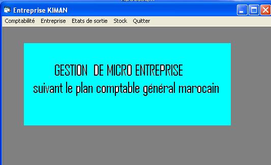 L’innovation gestion micro-entreprise 2001